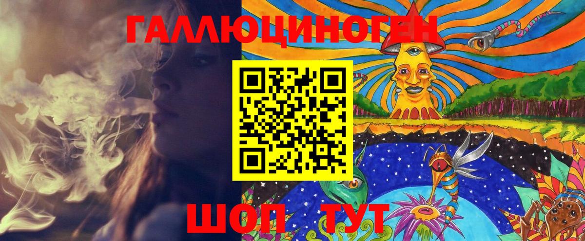 Галлюциногенные грибы Psilocybe Вышний Волочёк
