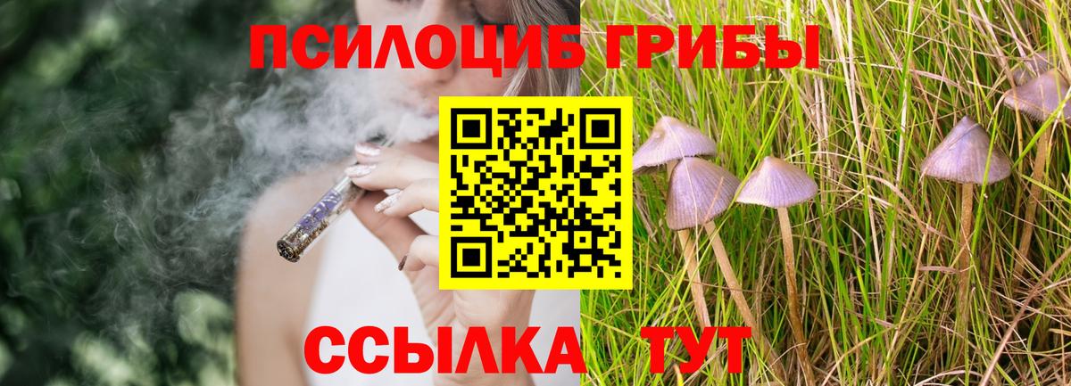 Галлюциногенные грибы мицелий  купить наркоту  Псилоцибиновые грибы Psilocybe  Вышний Волочёк  Вход с VPN 